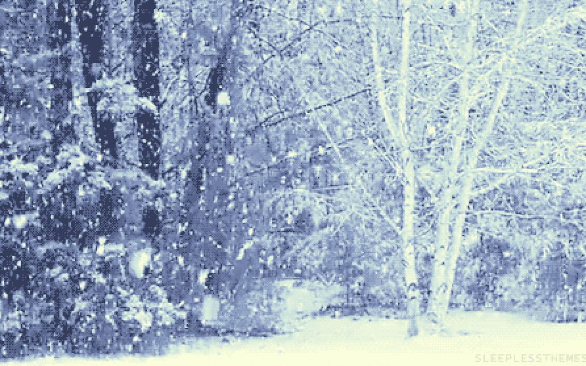 SNOW UPDATE  Monmouth Cardiology Associates